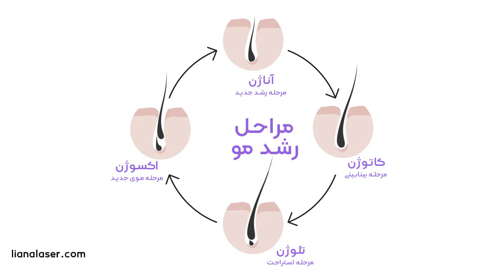 رویش مجدد مو بعد از لیزر